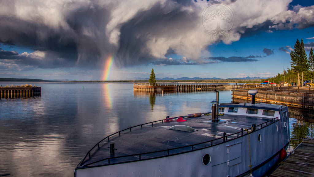 Grant Rainbow